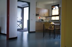 只需有阳光和雨露