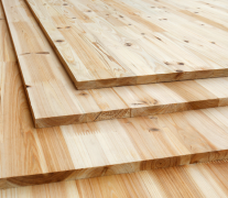 对于虫蛀的抵当能